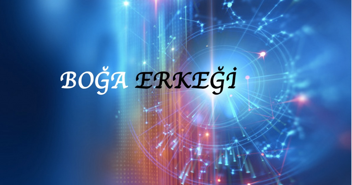 Boğa Erkeği Boğa Erkeği